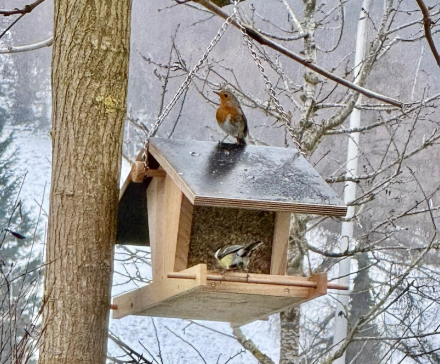 Preview: Silohaus Klassisch mit wetterfestem Dach